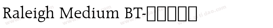 Raleigh Medium BT字体转换